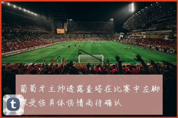 葡萄牙主帅透露奎塔在比赛中左脚踝受伤具体伤情尚待确认